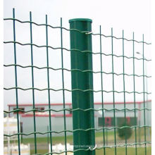 Exportieren von Standard-PVC-beschichteten Europa Zaun auf Lager